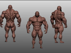 Base mesh muscle 2 3D Model