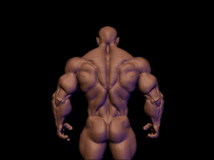 Base mesh muscle 2 3Dモデル