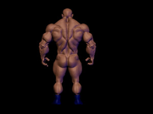 Base mesh muscle 2 3Dモデル