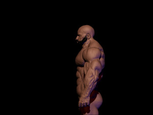 Base mesh muscle 2 3Dモデル