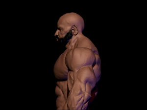 Base mesh muscle 2 3D Model