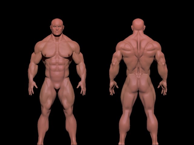 bodybuilder 3D Model .c4d .max .obj .3ds .fbx .stl .blend 