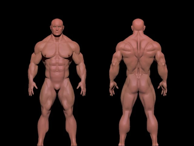 bodybuilder 3D Model .c4d .max .obj .3ds .fbx .stl .blend