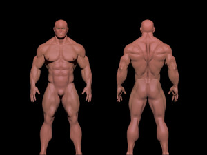 bodybuilder Modèle 3D