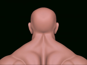 bodybuilder 3D Model