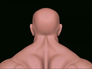 bodybuilder 3D Model