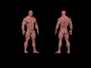 bodybuilder 3D Model