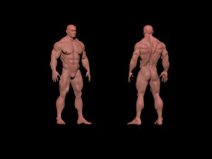 bodybuilder 3D Model