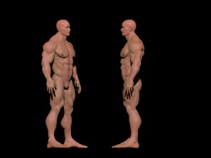 bodybuilder 3D Model