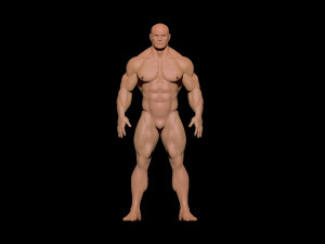 bodybuilder 3D Model