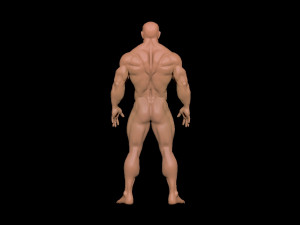bodybuilder 3D Model