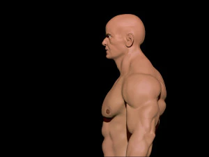 bodybuilder 3D Model
