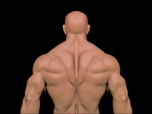 bodybuilder 3D Model