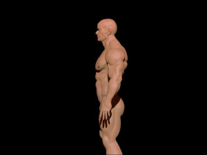 bodybuilder 3D Model