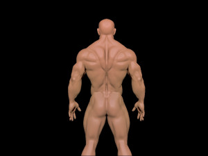 bodybuilder 3D Model