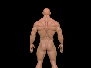 bodybuilder 3D Model