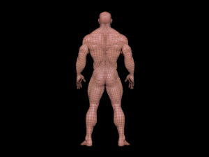 bodybuilder 3D Model