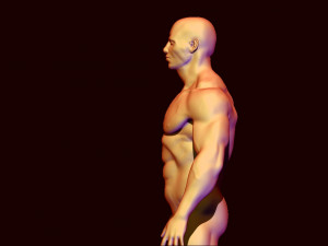 base mesh body builder 3D Model