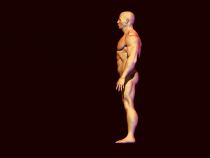 base mesh body builder 3D Model