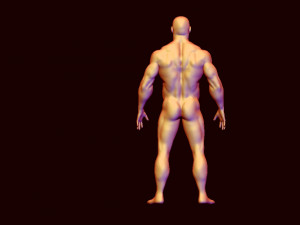 base mesh body builder 3D Model
