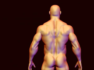 base mesh body builder 3D Model