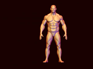 base mesh body builder 3D Model