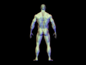 base mesh body builder 3D Model