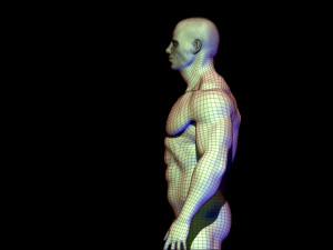 base mesh body builder 3D Model