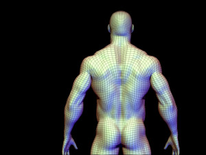 base mesh body builder 3D Model