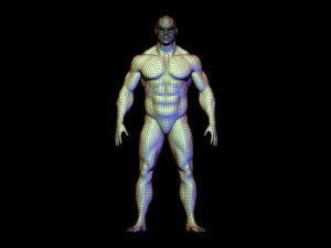 base mesh body builder 3D Model