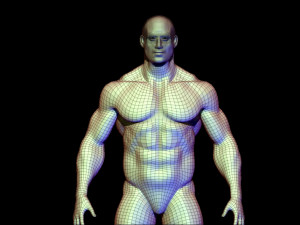 base mesh body builder 3D Model