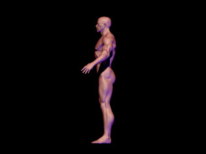 base mesh 3D मॉडल
