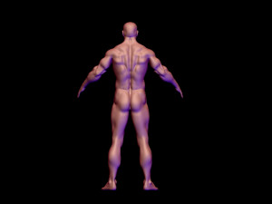 base mesh 3D मॉडल