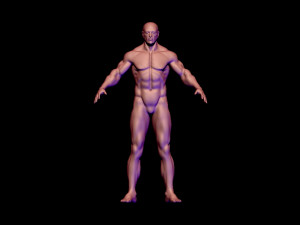 base mesh 3D मॉडल