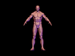 base mesh 3D Model