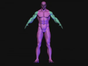 base mesh 3D Model