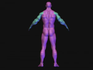 base mesh 3D Model
