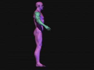 base mesh 3D मॉडल