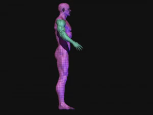 base mesh 3D Model