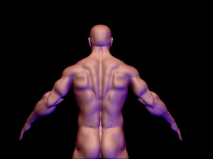 base mesh 3D मॉडल