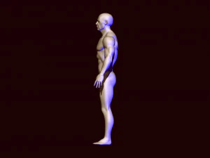 base mesh 1 3D Model
