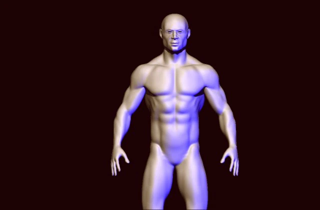 base mesh 1 3D Model .c4d .max .obj .3ds .fbx .stl .blend 