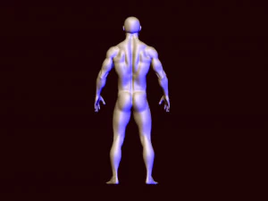 base mesh 1 3D Model