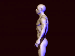 base mesh 1 3D Model
