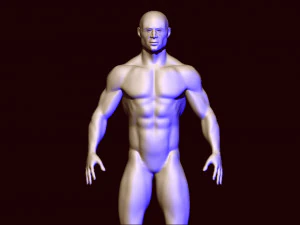base mesh 1 3D Model