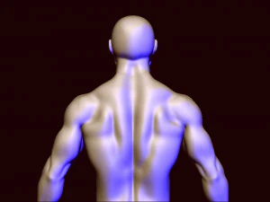 base mesh 1 3D Model
