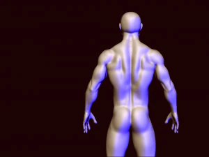 base mesh 1 3D Model