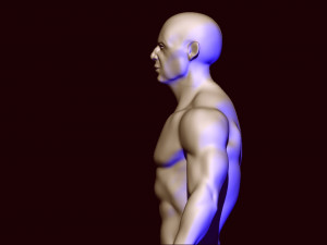 base mesh 1 3D Модель