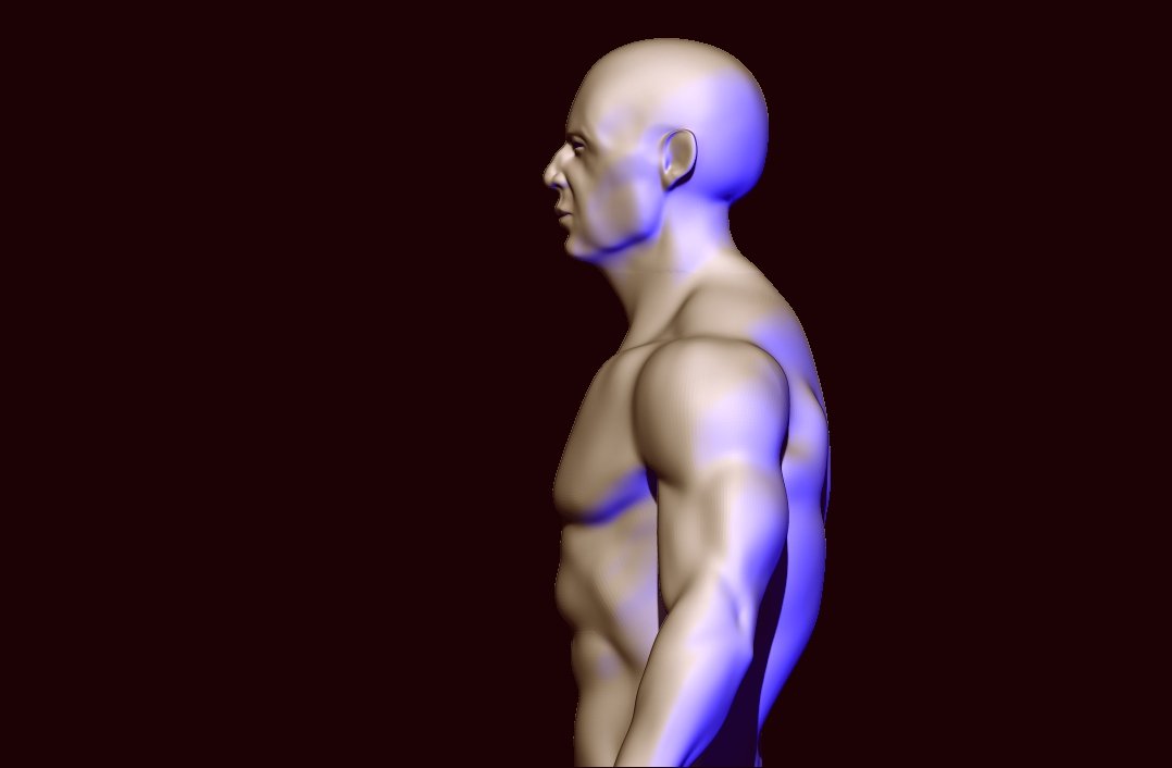 Мозг 3d анимация. Покажи фото мышц с синим фоном.