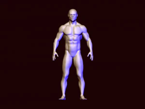 base mesh 1 3D Model
